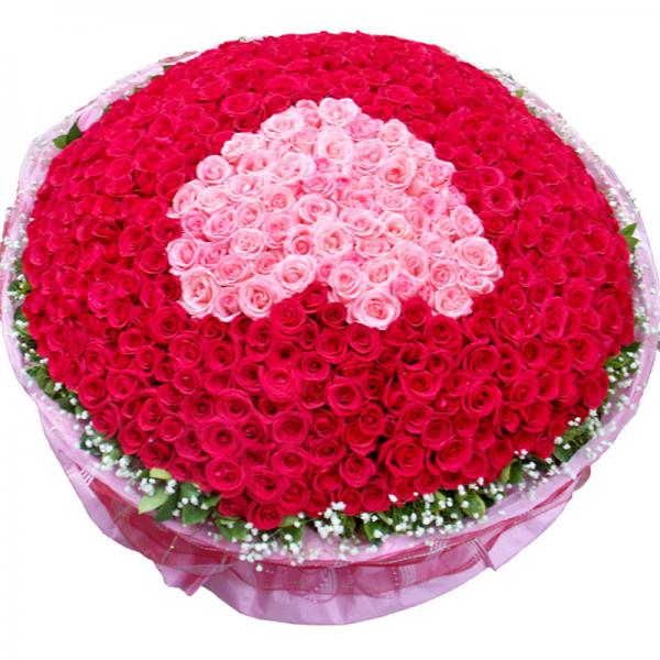 罗密欧与朱丽叶--999枝玫瑰花束，红、粉混色