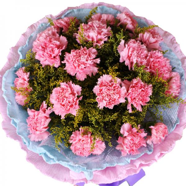 感恩有您--19枝粉色康乃馨圆形花束