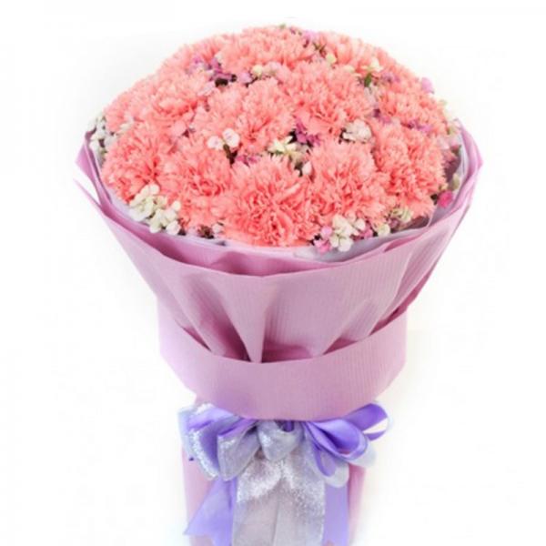 春晖寸草--19枝粉色康乃馨花束，石竹梅间插