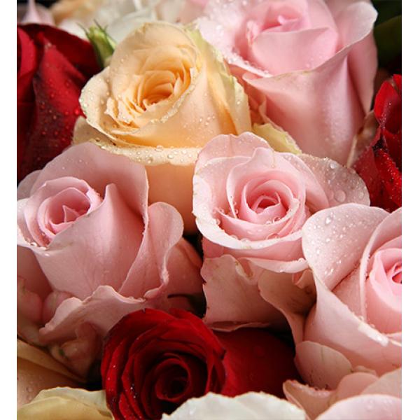 钟爱一生--混色玫瑰共29枝